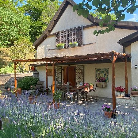 Bed and Breakfast La Colombaia Amiata Arcidosso Exterior foto