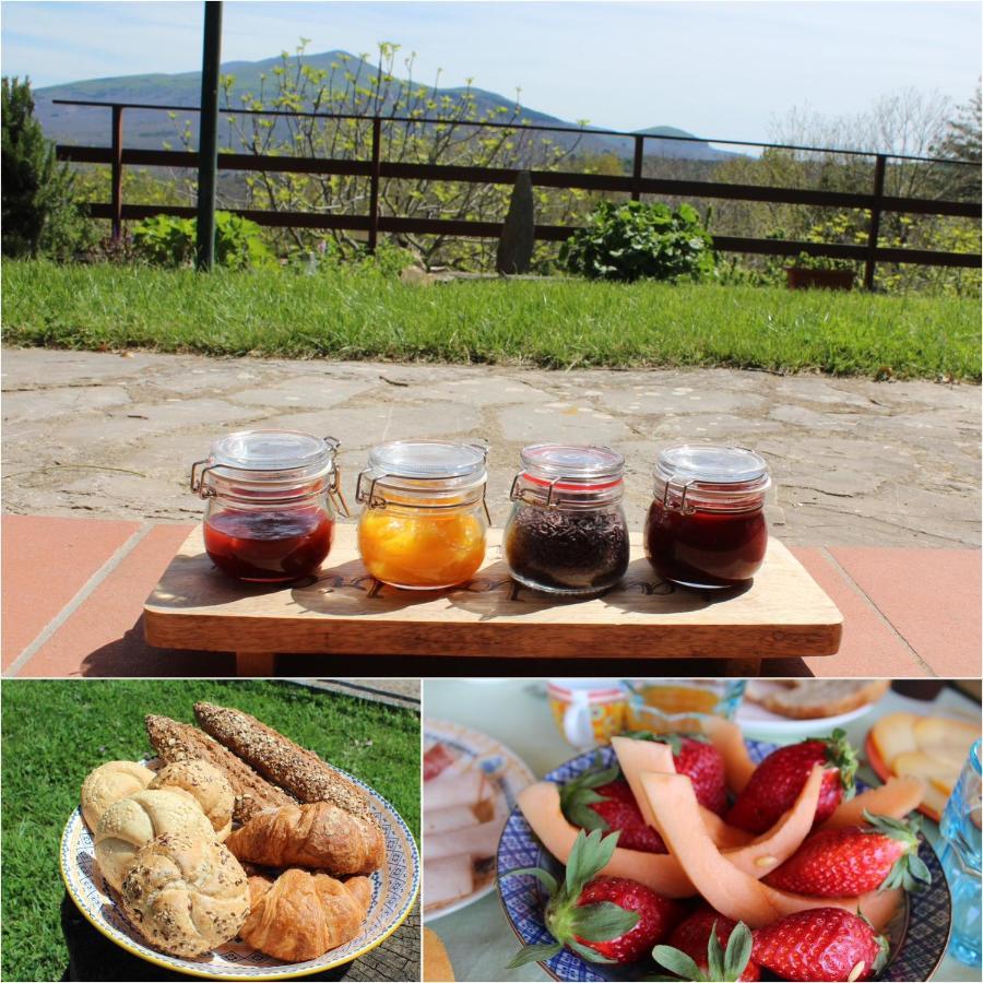 Bed and Breakfast La Colombaia Amiata Arcidosso Exterior foto
